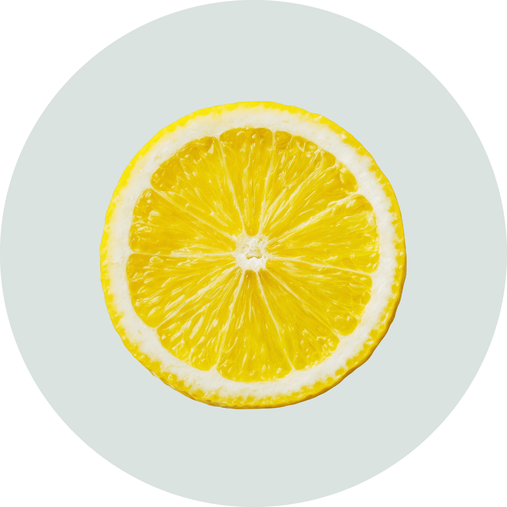 shop ny notes 09 (1)