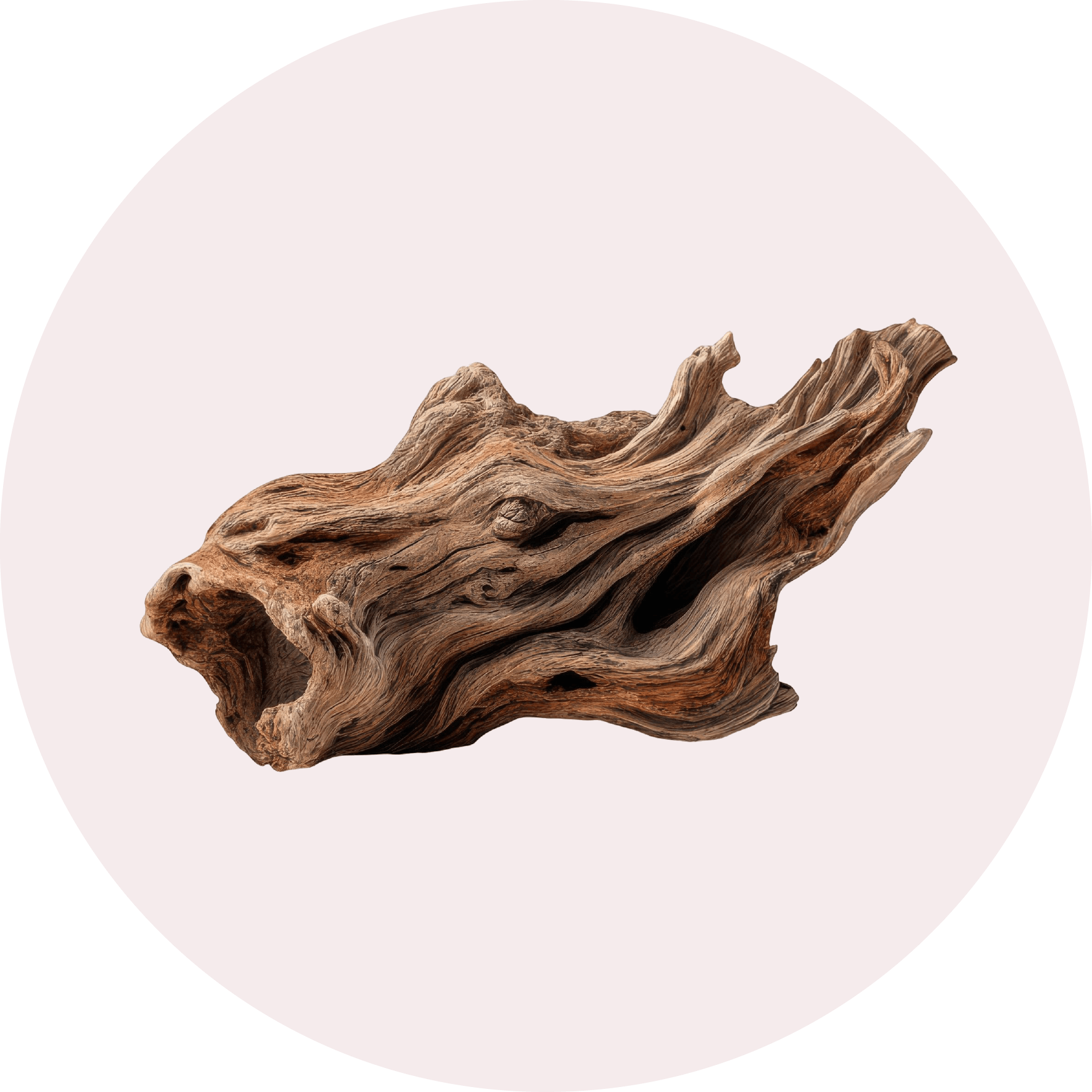 shop ny notes 10 (1)