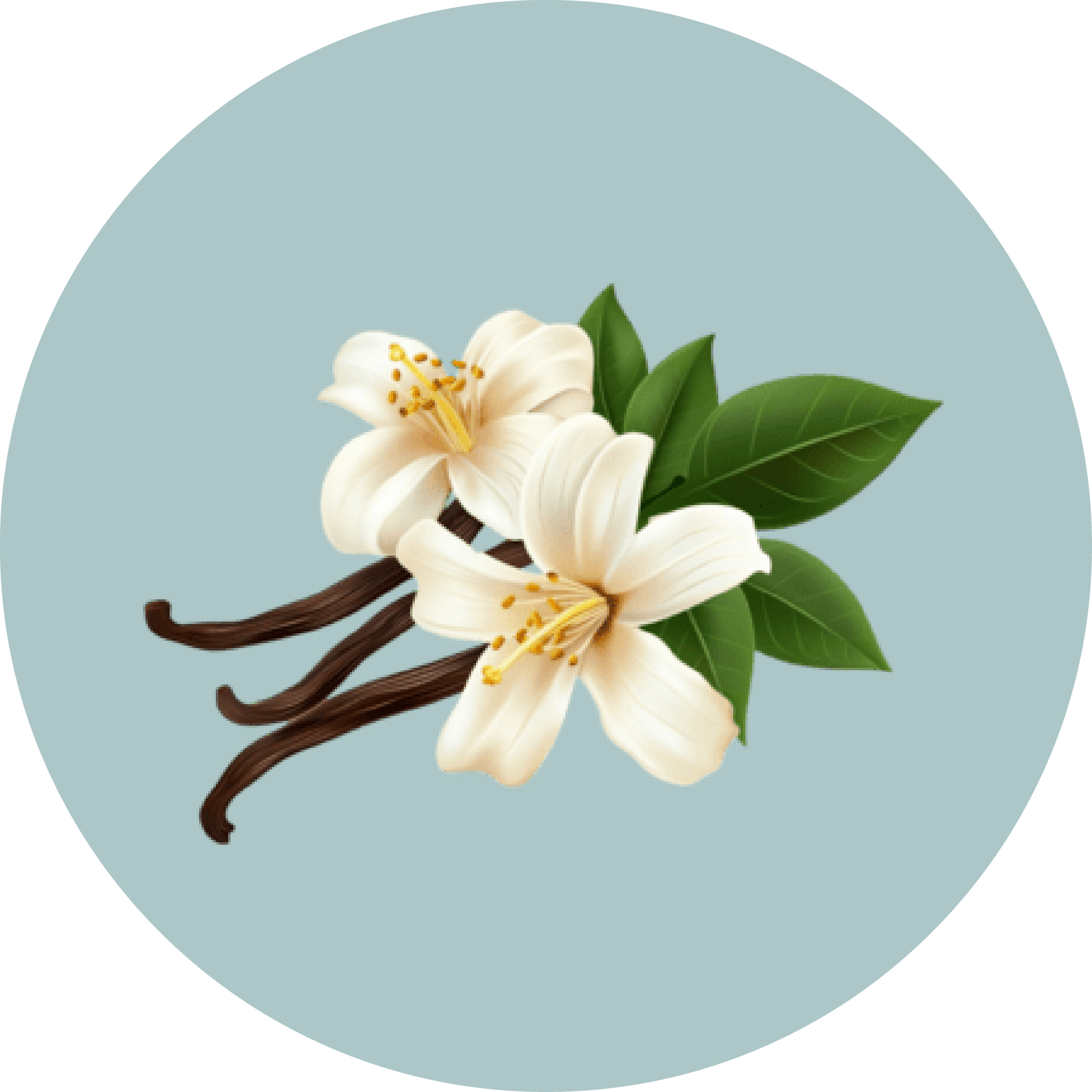 shop ny notes 11 (1)