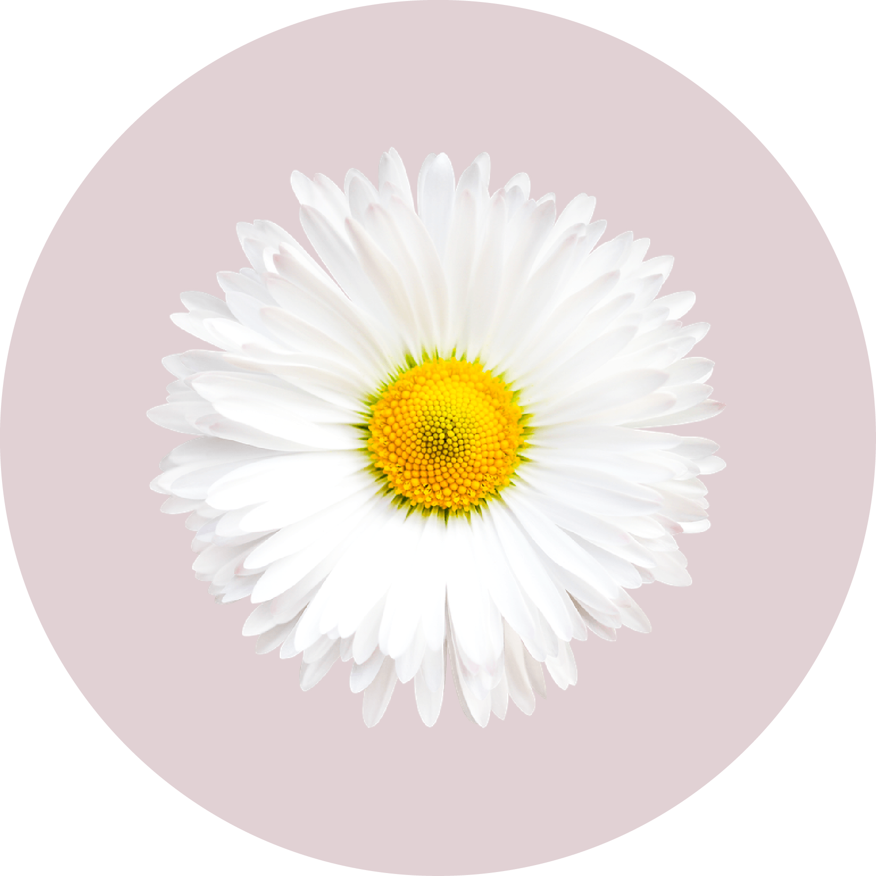 shop ny notes 12 (1)