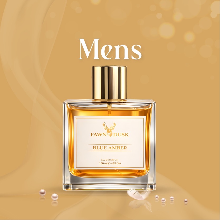 whatsapp image 2026 03 13 at 5.16.12 pm